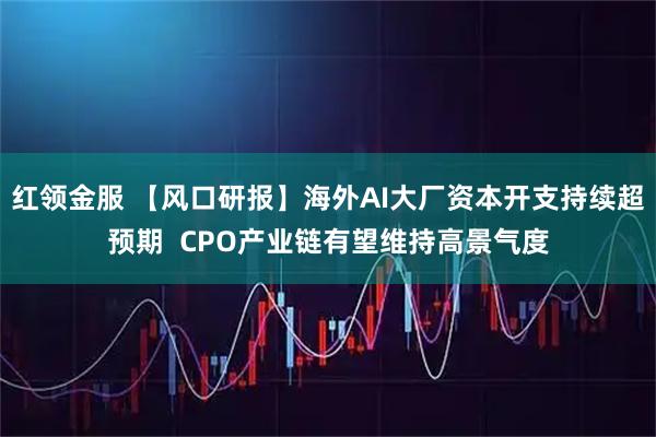 红领金服 【风口研报】海外AI大厂资本开支持续超预期  CPO产业链有望维持高景气度