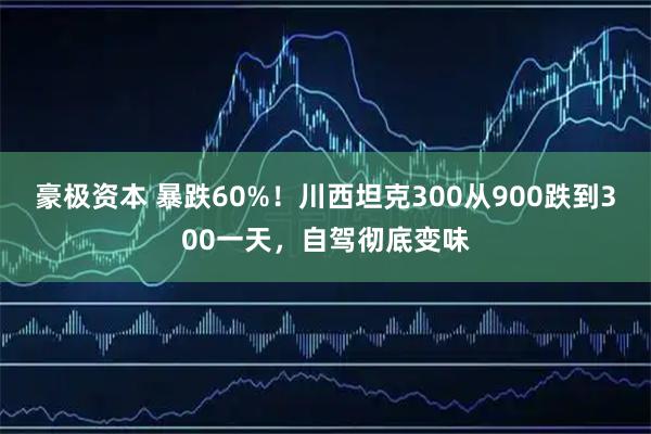 豪极资本 暴跌60%！川西坦克300从900跌到300一天，自驾彻底变味