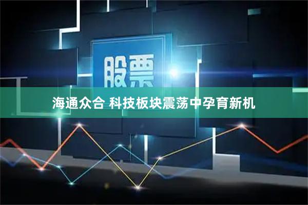 海通众合 科技板块震荡中孕育新机