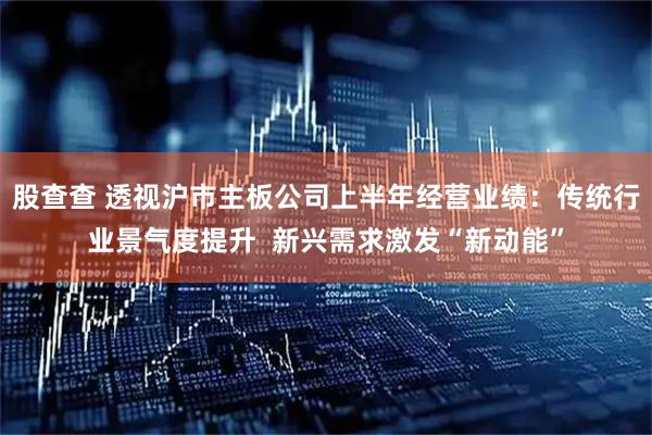 股查查 透视沪市主板公司上半年经营业绩：传统行业景气度提升  新兴需求激发“新动能”