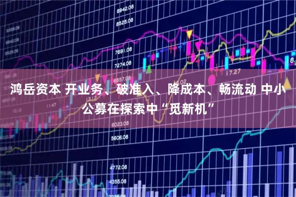 鸿岳资本 开业务、破准入、降成本、畅流动 中小公募在探索中“觅新机”